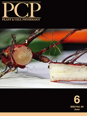 Plant & Cell Physiology | The Society of Plant Physiologists