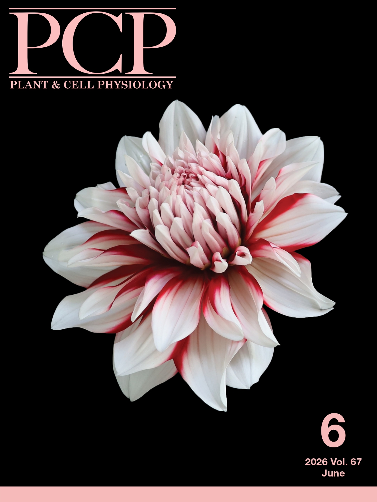 2026 vol67 (6)