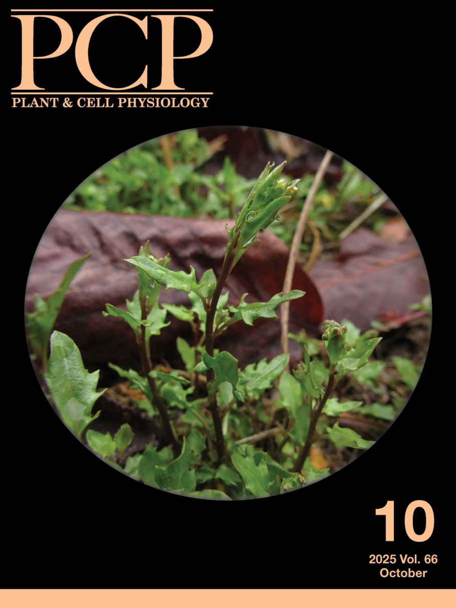 2025 vol66 (10)