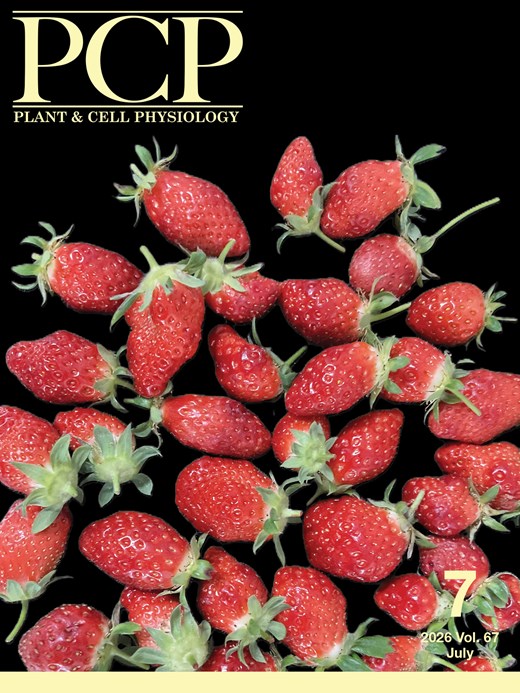 2026 vol67 (7)