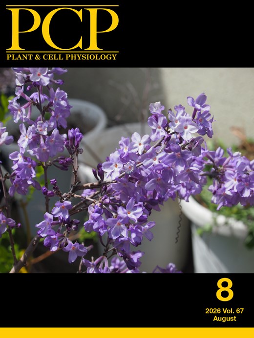 PCP  cover