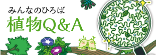 みんなのひろば 植物Q&A 質問から検索する